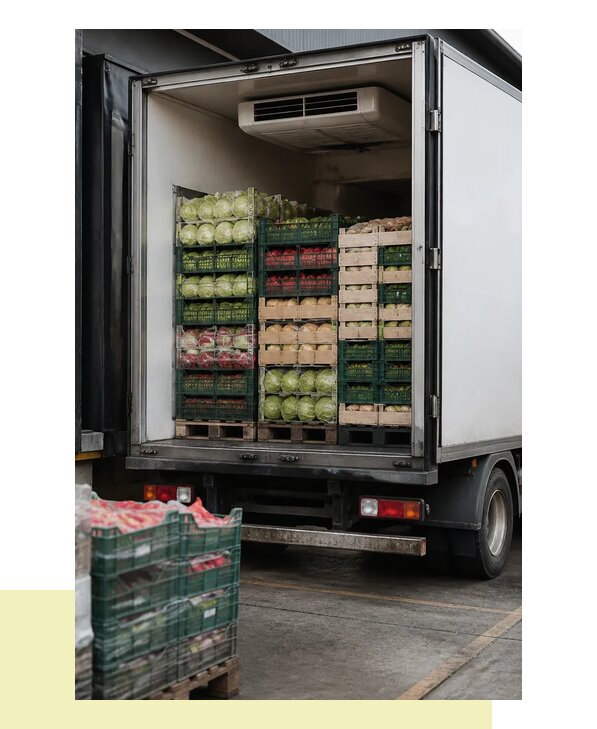 Перевозка плодоовощной продукции оптом напрямую в Можгу