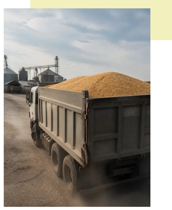 Перевозка сельхозпродукции навалом в Можгу по цене от 3038 р. | Агросервис-Мжг